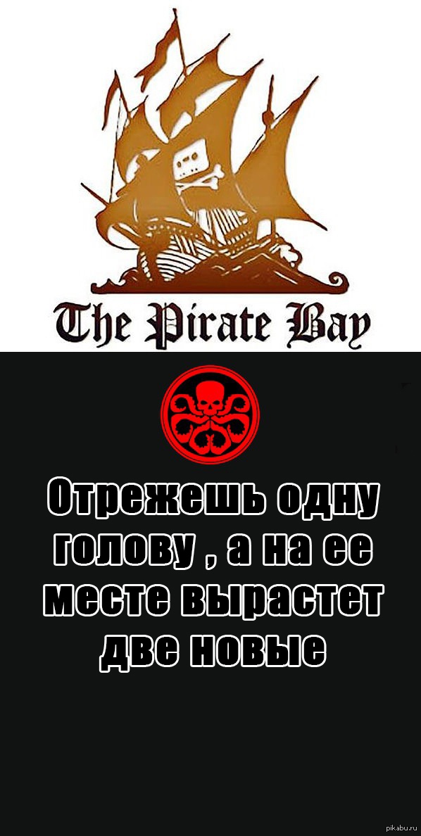 Зайти на кракен через браузер