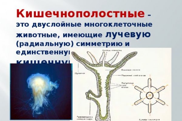 Кракен с айфона