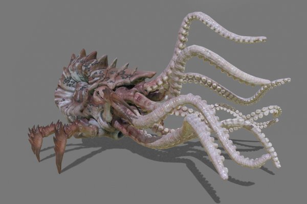 Kraken зайти на сайт