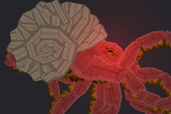 Kraken 18at