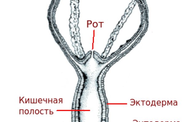 Кракен тор это