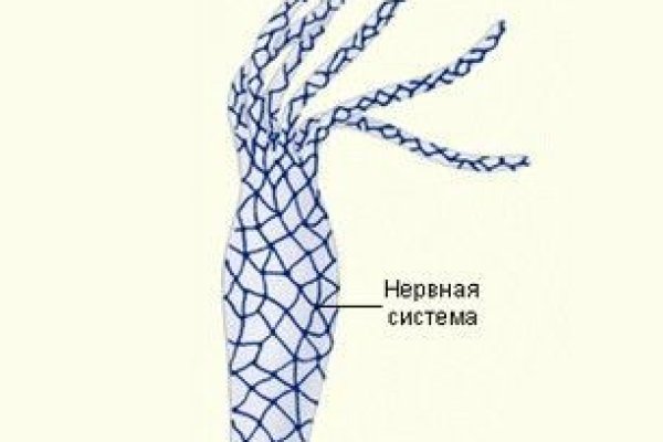 Кракен zerkalo pw