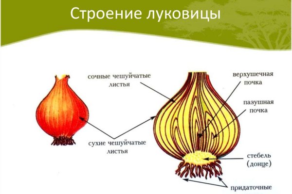 Kraken россия